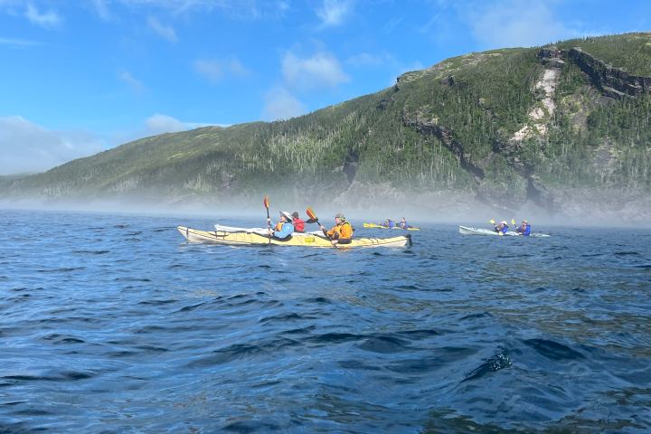 a group of people swimming in a body of water